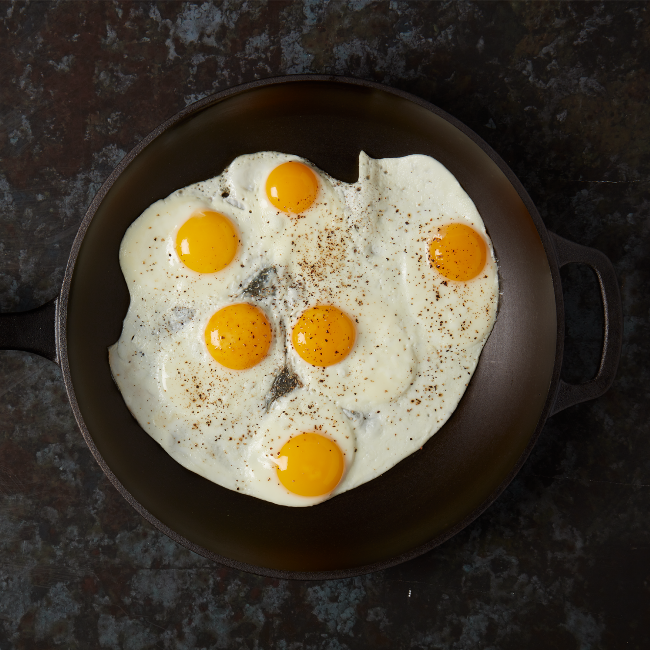 12" Smooth Cast Round Pre-Seasoned Cast Iron Skillet Fry Pan